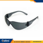 Lente Ecolight Oscuro – Msa